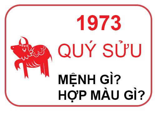 Màu sắc tương sinh may mắn cho nam sinh năm 1973 mệnh Mộc theo phong thủy